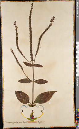 LE 01062995