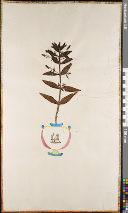 LE 01062999
