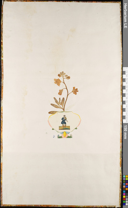 LE 01063009