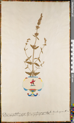 LE 01063011