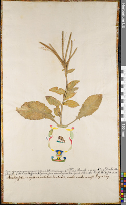 LE 01063013