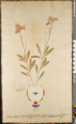 LE 01063015