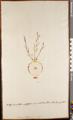 LE 01063023