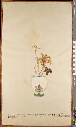 LE 01063030