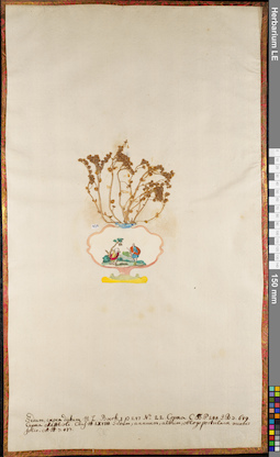 LE 01063037