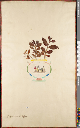 LE 01063052