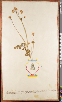 LE 01084010