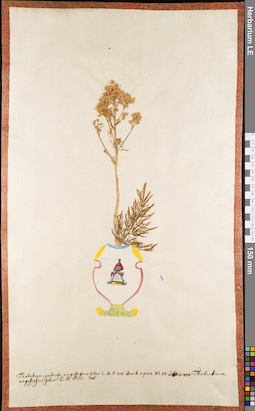 LE 01084011
