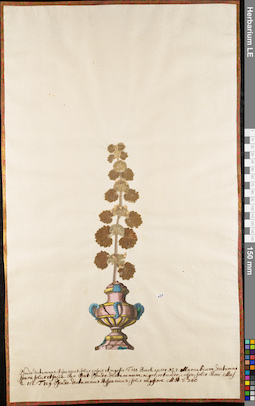 LE 01084032