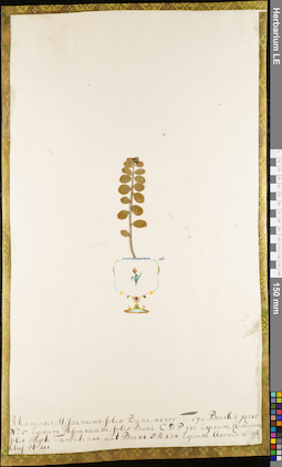 LE 01084052