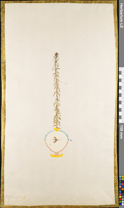 LE 01084053