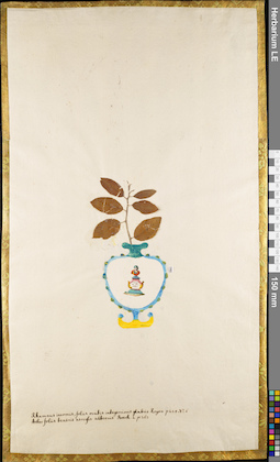 LE 01084055