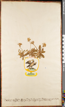 LE 01084086