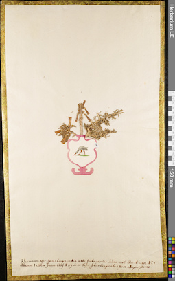 LE 01084104
