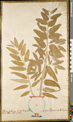 LE 01084119