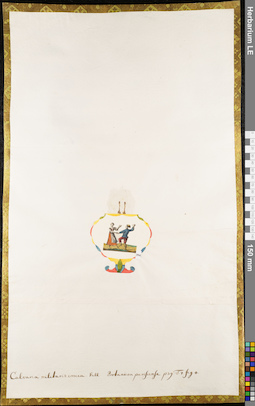 LE 01084132