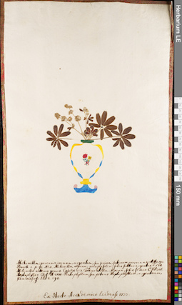 LE 01084138