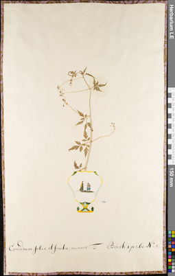 LE 01084165