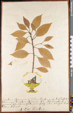 LE 01084174