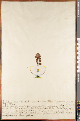 LE 01084178