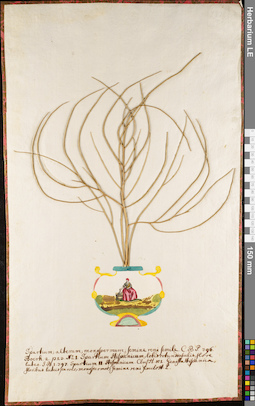 LE 01084201