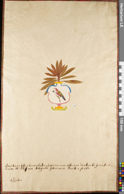 LE 01084204