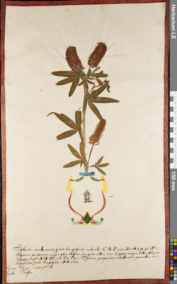 LE 01084325