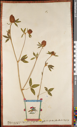 LE 01084358