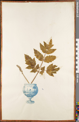 LE 01084669