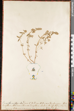 LE 01084682