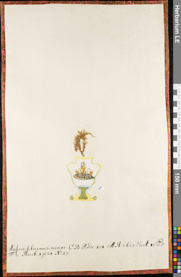 LE 01084703