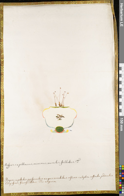 LE 01084705