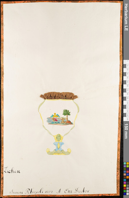 LE 01084734