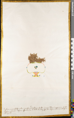 LE 01084739