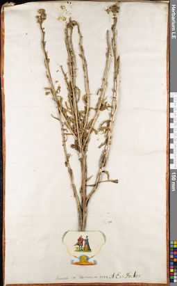 LE 01084769