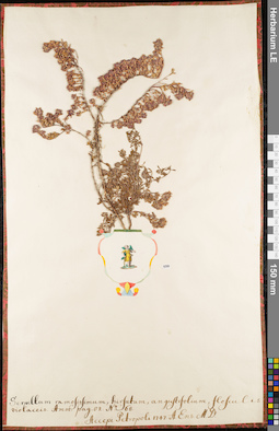 LE 01084771