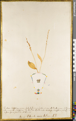 LE 01084777