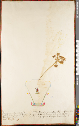 LE 01084788