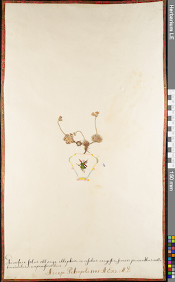 LE 01084790