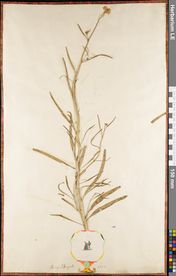 LE 01084791
