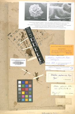 LE 01006076