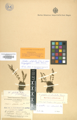 LE 01006080