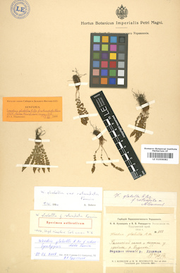 LE 01006082