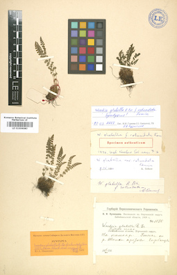 LE 01006083