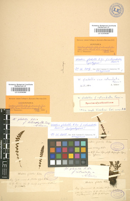 LE 01006086