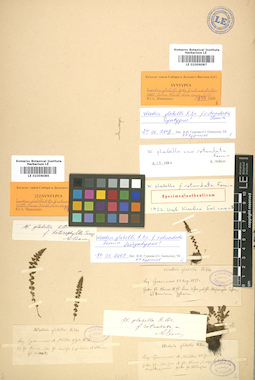 LE 01006087