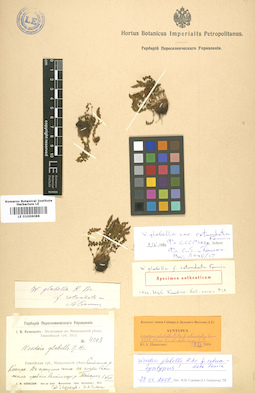 LE 01006088