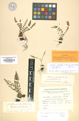 LE 01006089