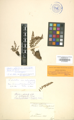 LE 01006092