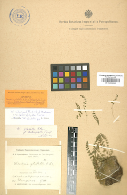 LE 01006095